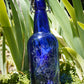 Cobalt Blue Synergistic Wellness Water Bottle 16oz