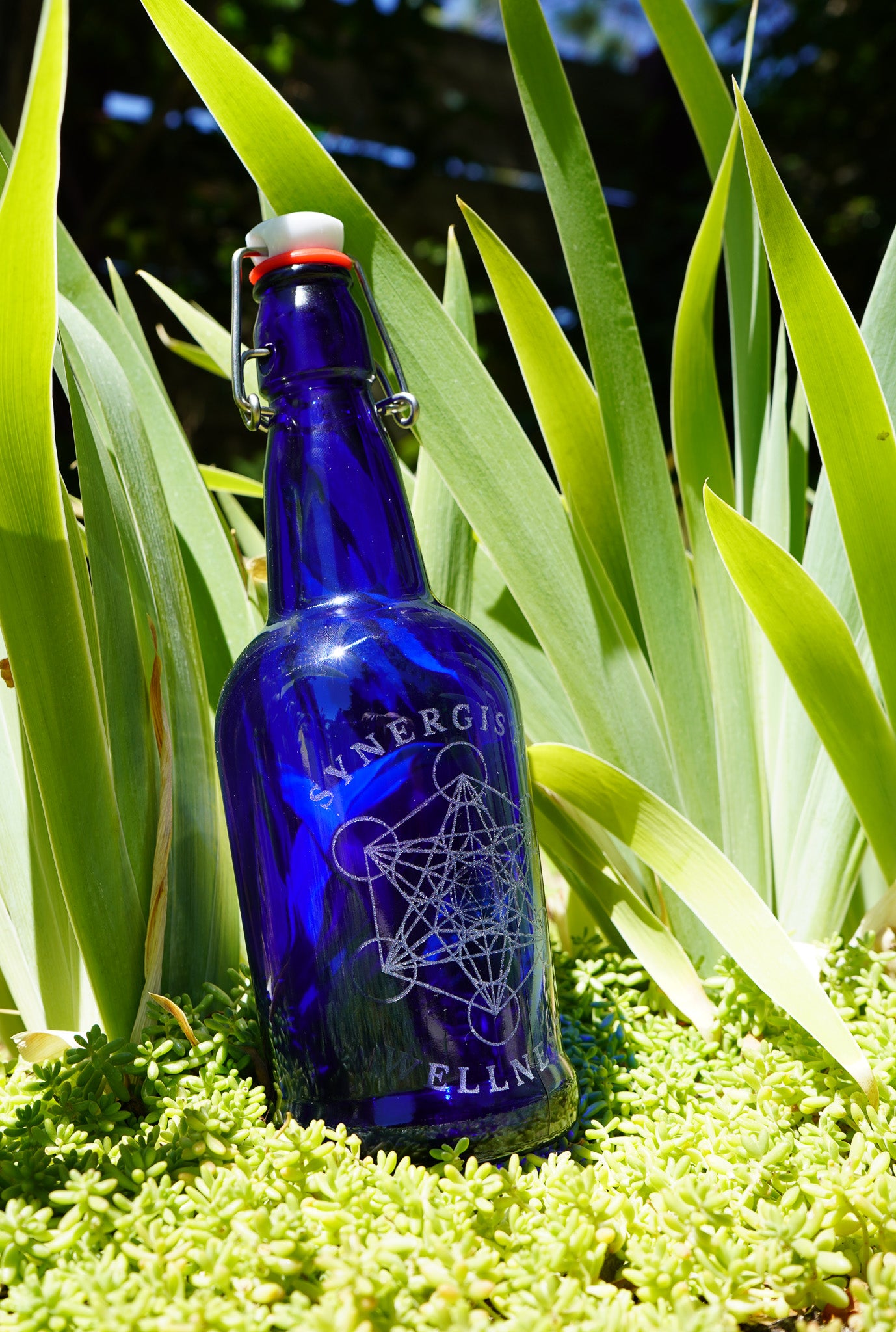 Cobalt Blue Synergistic Wellness Water Bottle 16oz