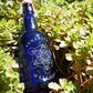 Cobalt Blue Synergistic Wellness Water Bottle 16oz