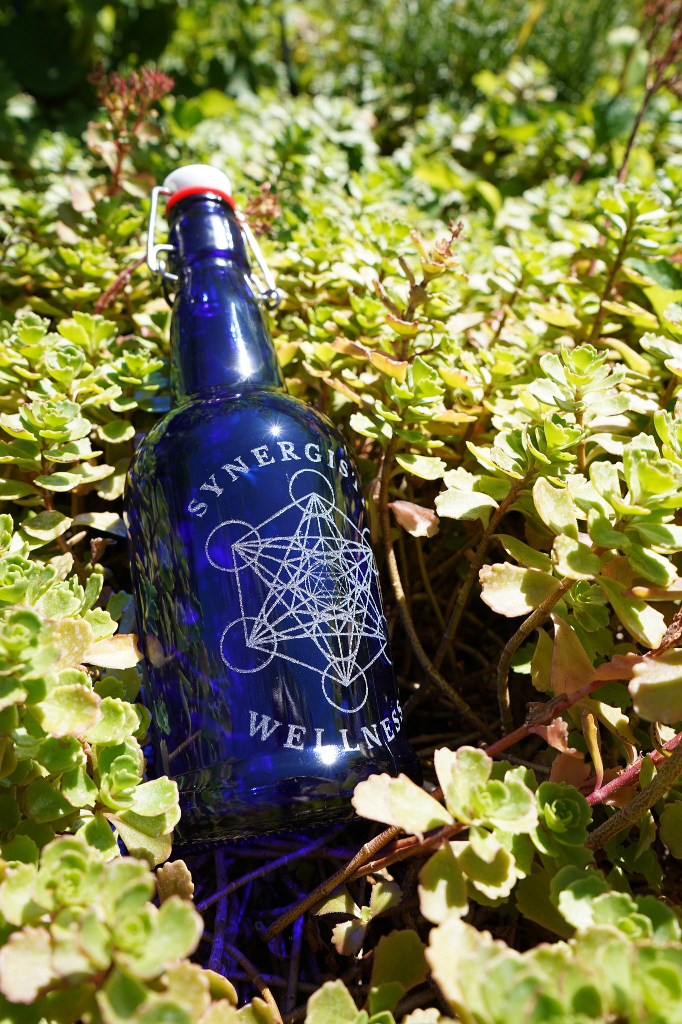 Cobalt Blue Synergistic Wellness Water Bottle 16oz