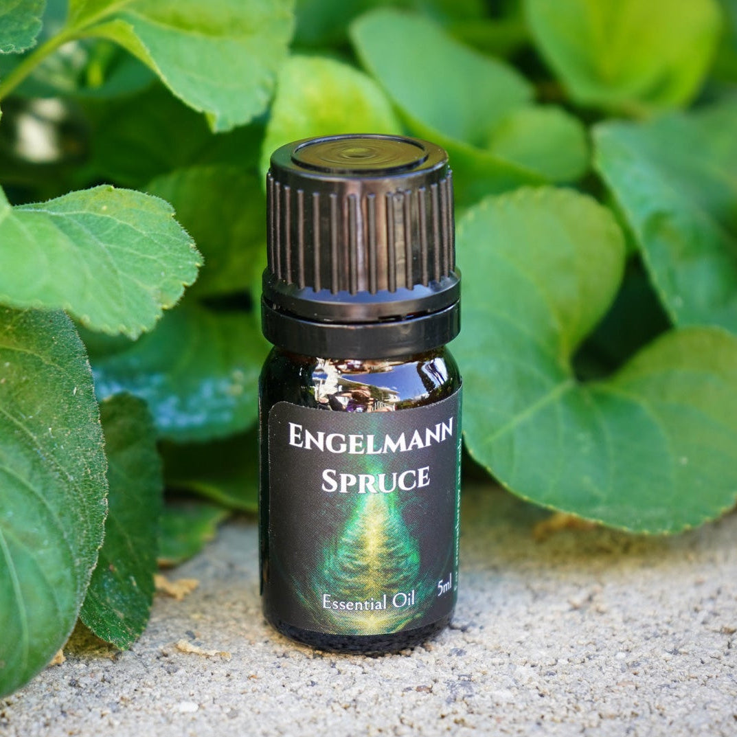Engelmann Spruce Essential Oil
