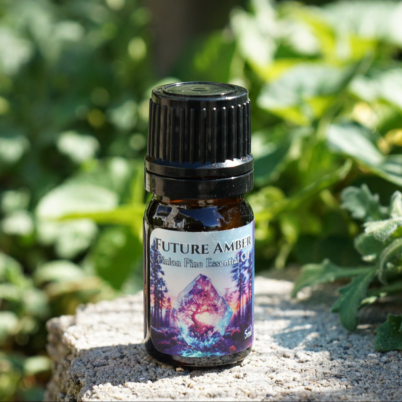 Future Amber Essential Oil