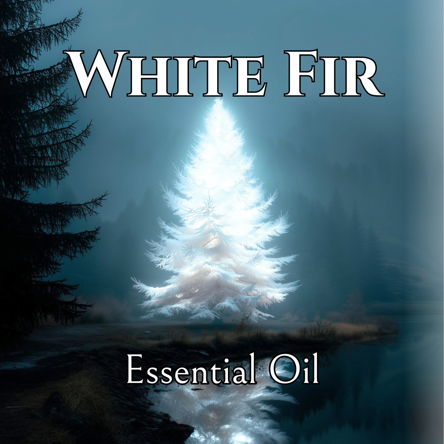 White Fir Essential Oil